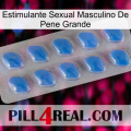 Big Penis Male Sexual Stimulant 22